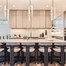 890 South Milwaukee St - Print Quality - 020 - 030 Kitchen Feature